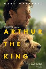 Arthur the King vidbull
