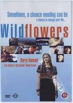 Wildflowers vidbull