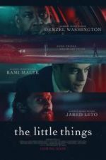 Watch The Little Things Vidbull
