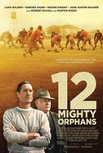 Watch 12 Mighty Orphans Vidbull