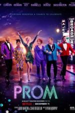 Watch The Prom Vidbull