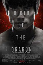 Watch Birth of the Dragon Vidbull