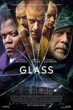 Watch Glass Vidbull