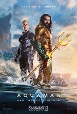 Aquaman and the Lost Kingdom vidbull