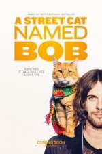 Watch A Street Cat Named Bob Vidbull