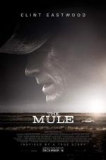 Watch The Mule Vidbull