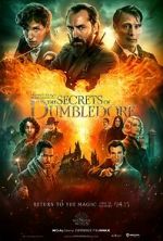 Watch Fantastic Beasts: The Secrets of Dumbledore Vidbull
