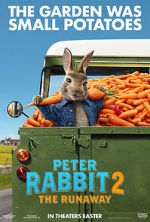Watch Peter Rabbit 2: The Runaway Vidbull