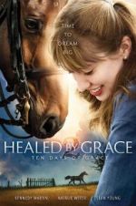 Watch Healed by Grace 2 Vidbull