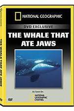 Watch Predator CSI The Whale That Ate Jaws Vidbull
