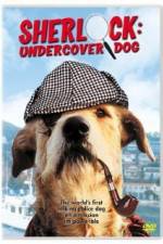 Watch Sherlock Undercover Dog Vidbull