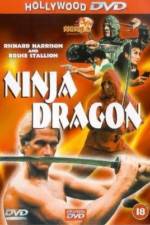 Watch Ninja Dragon Vidbull