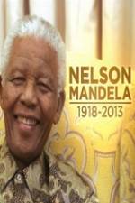 Watch Nelson Mandela The Fight for Freedom Vidbull