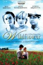 Watch Wildflower Vidbull