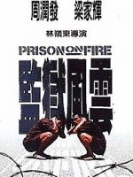 Watch Prison on Fire Vidbull