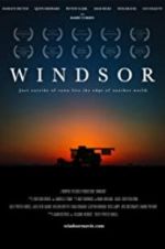 Watch Windsor Vidbull