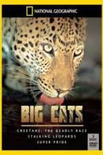 Watch National Geographic: Living With Big Cats Vidbull