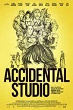 Watch An Accidental Studio Vidbull