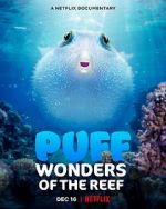 Watch Puff: Wonders of the Reef Vidbull