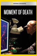 Watch National Geographic Moment of Death Vidbull