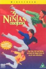 Watch 3 Ninjas Kick Back Vidbull