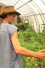 Watch Green House Seeds Strain Hunters India Expedition Vidbull
