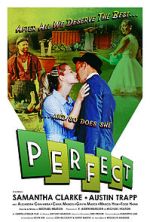 Watch Perfect (Short 2022) Vidbull