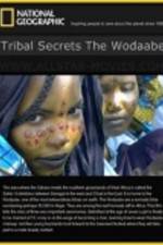 Watch Tribal Secrets: The Wodaabe Vidbull