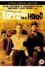 Watch Boyz n the Hood Vidbull