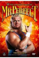 Watch The Life and Times of Mr Perfect Vidbull