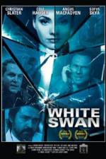 Watch White Swan Vidbull