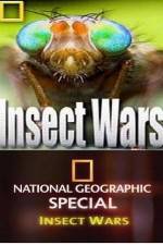 Watch National Geographic Insect Wars Vidbull