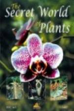 Watch The Secret World of Plants Vidbull