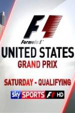 Watch Formula 1 2013 USA Grand Prix Qualifying Vidbull