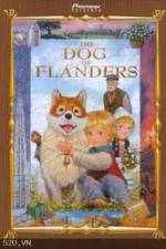 Watch The Dog of Flanders Vidbull