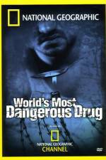 Watch Worlds Most Dangerous Drug Vidbull