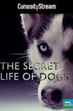 Watch Secret Life of Dogs Vidbull