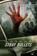 Watch Stray Bullets Vidbull