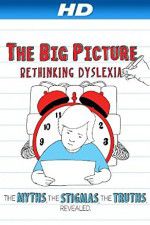 Watch The Big Picture Rethinking Dyslexia Vidbull