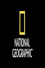 Watch National Geographic Wild Animal Attacks On Vacation Vidbull
