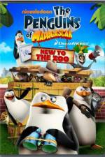Watch Penguins of Madagascar New to the Zoo Vidbull