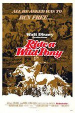 Watch Ride a Wild Pony Vidbull