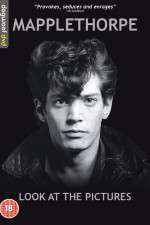 Watch Mapplethorpe: Look at the Pictures Vidbull