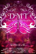 Watch DMT The Spirit Molecule Vidbull
