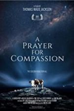 Watch A Prayer for Compassion Vidbull
