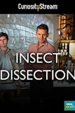 Watch Insect Dissection: How Insects Work Vidbull