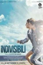 Watch Indivisible Vidbull