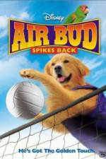 Watch Air Bud Spikes Back Vidbull