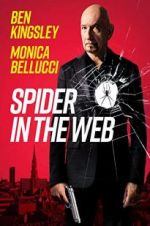 Watch Spider in the Web Vidbull