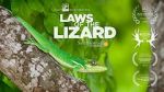 Watch Laws of the Lizard Vidbull